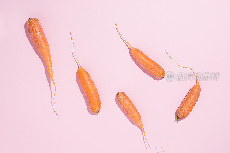 Creative food pattern with orange carrots on pastel pink background. Raw organic root vegetable concept. Agricultural texture. Minimal flat lay. Source of antioxidant β-carotene, vitamin K and B6.